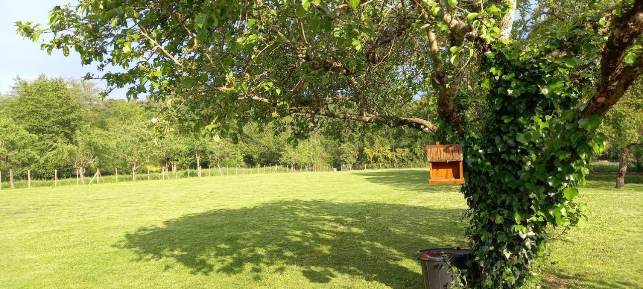 Gites Le Clos Du Verger Maurens  Esterno foto